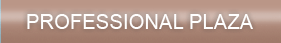 Professional Plaza